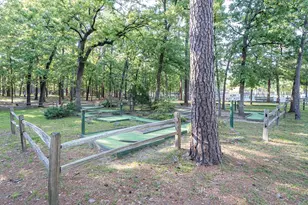 2045 W Holly Trail, Holly Lake Ranch, TX 75765 - Photo 32