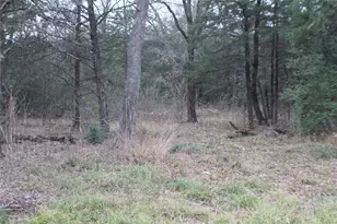 9603 County Road 2404, Kemp, TX 75143 - Photo 20