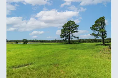 000 County Road 1604, Grand Saline, TX 75140 - Photo 26