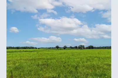 000 County Road 1604, Grand Saline, TX 75140 - Photo 14
