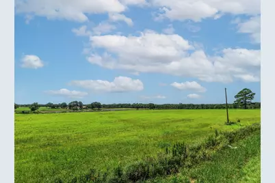 000 County Road 1604, Grand Saline, TX 75140 - Photo 10