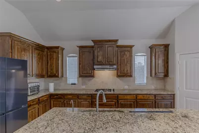 2504 Hammock Lake Drive, Little Elm, TX 75068 - Photo 14