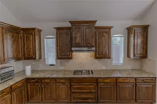2504 Hammock Lake Dr, Little Elm, TX 75068 - Photo 16