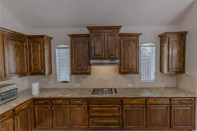 2504 Hammock Lake Drive, Little Elm, TX 75068 - Photo 16