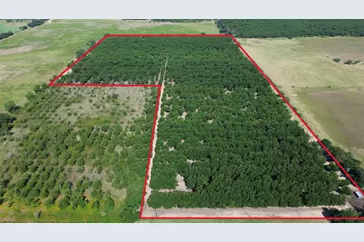 0000 Fm 1496, Dublin, TX 76446 - Photo 12