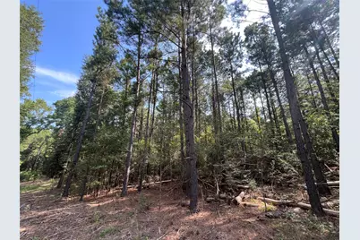 Tbd County Road 3303, Jacksonville, TX 75766 - Photo 4