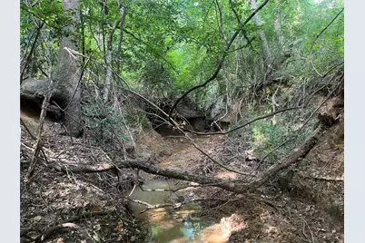 Tbd County Road 3303, Jacksonville, TX 75766 - Photo 26