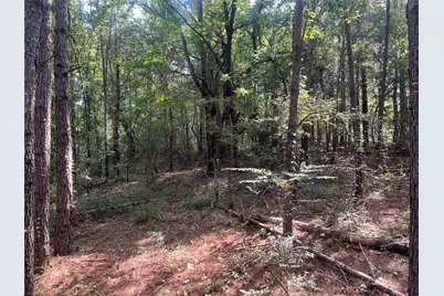 Tbd County Road 3303, Jacksonville, TX 75766 - Photo 6