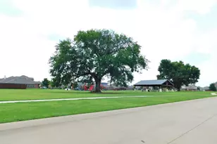 8913 Eastwood Ave, Cross Roads, TX 76227 - Photo 18