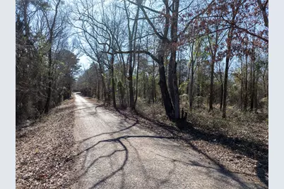 Tbd County Road  4246, Pittsburg, TX 75686 - Photo 8