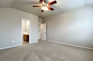 233 Niagara Falls Dr, Anna, TX 75409 - Photo 20