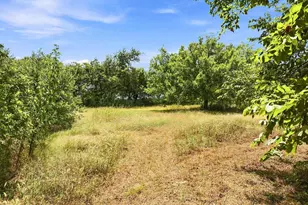 304 Primrose Ln, Sherman, TX 75092 - Photo 28