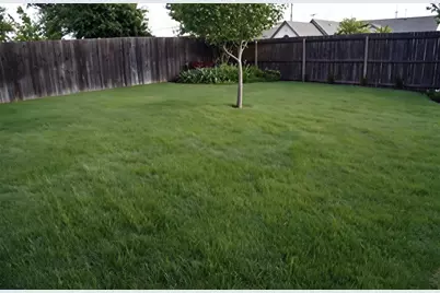 7513 Red Feather Trail, McKinney, TX 75070 - Photo 16