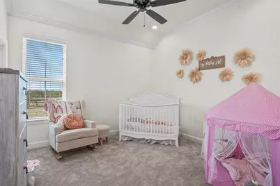 428 Royal Santana Run, Weatherford, TX 76087 - Photo 30