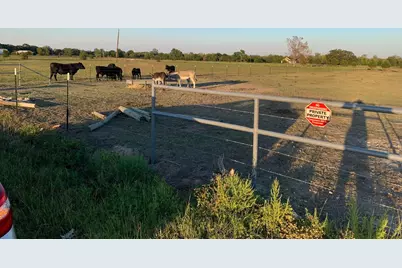 10658 County Road 350, Terrell, TX 75160 - Photo 12