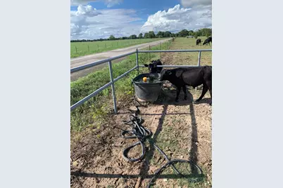 10658 County Road 350, Terrell, TX 75160 - Photo 10