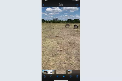 10658 County Road 350, Terrell, TX 75160 - Photo 20
