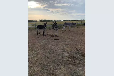 10658 County Road 350, Terrell, TX 75160 - Photo 4