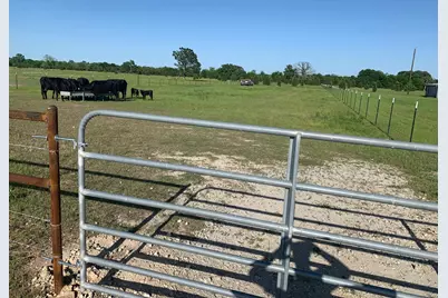 10658 County Road 350, Terrell, TX 75160 - Photo 2