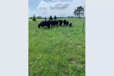 10658 County Road 350, Terrell, TX 75160 - Photo 16