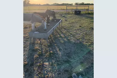 10658 County Road 350, Terrell, TX 75160 - Photo 8