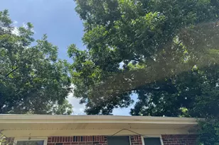 3703 Pecan Park Dr, Weatherford, TX 76087 - Photo 32