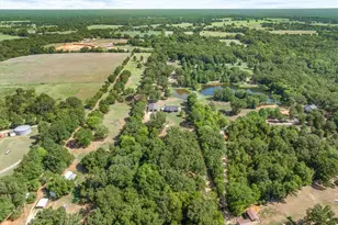 299 Vz 1716, Grand Saline, TX 75140 - Photo 34
