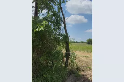 Lot 1 County Road 308, Terrell, TX 75161 - Photo 1