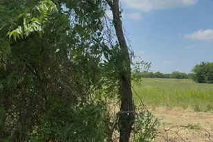 Lot 1 County Road 308, Terrell, TX 75161 - Photo 1