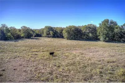 Lot 1 County Road 308, Terrell, TX 75161 - Photo 2