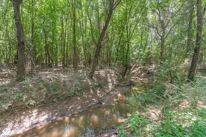 000 County Road 3520, Brownsboro, TX 75756 - Photo 12