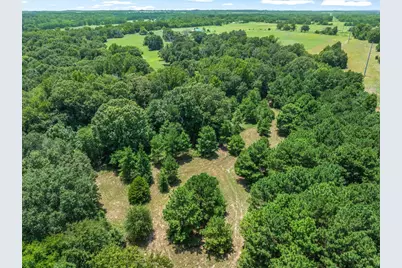 000 County Road 3520, Brownsboro, TX 75756 - Photo 4