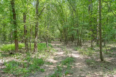 000 County Road 3520, Brownsboro, TX 75756 - Photo 14