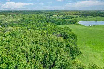 80 +/- Acres Private Road 5317, Grand Saline, TX 75140 - Photo 12