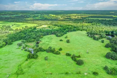 80 +/- Acres Private Road 5317, Grand Saline, TX 75140 - Photo 20