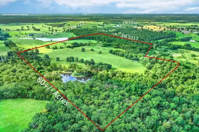 80 +/- Acres Private Road 5317, Grand Saline, TX 75140 - Photo 24
