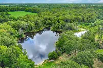 80 +/- Acres Private Road 5317, Grand Saline, TX 75140 - Photo 4
