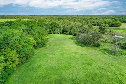 80 +/- Acres Private Road 5317, Grand Saline, TX 75140 - Photo 10