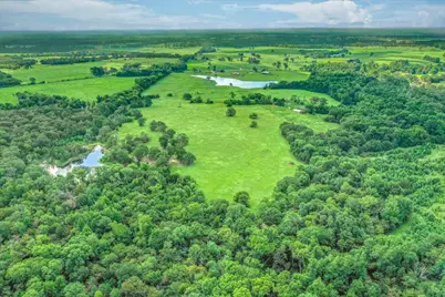 80 +/- Acres Private Road 5317, Grand Saline, TX 75140 - Photo 6