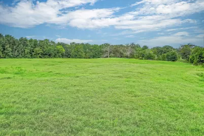 80 +/- Acres Private Road 5317, Grand Saline, TX 75140 - Photo 18