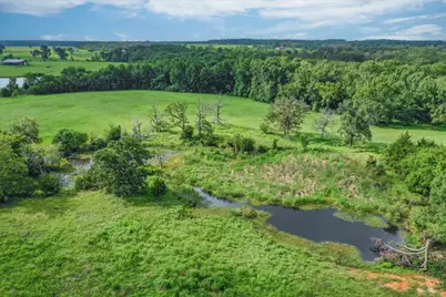 80 +/- Acres Private Road 5317, Grand Saline, TX 75140 - Photo 14