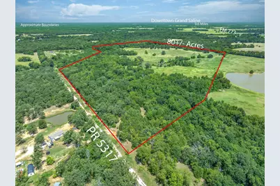 80 +/- Acres Private Road 5317, Grand Saline, TX 75140 - Photo 22