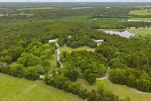 1229 County Road 3105 37Acres, Bonham, TX 75418 - Photo 10