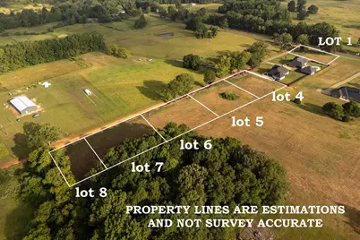 261 County Road 3421 (Lot 7), Bullard, TX 75757 - Photo 2