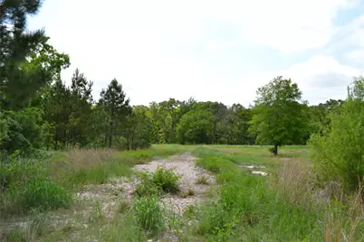 Tbd S Hwy 69, Alba, TX 75410 - Photo 12
