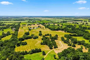 189 Co Rd 3090, Ben Franklin, TX 75415 - Photo 40