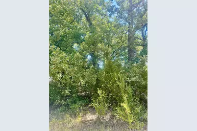 0 Longhorn Road, Mabank, TX 75156 - Photo 2