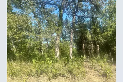 0 Longhorn Road, Mabank, TX 75156 - Photo 2