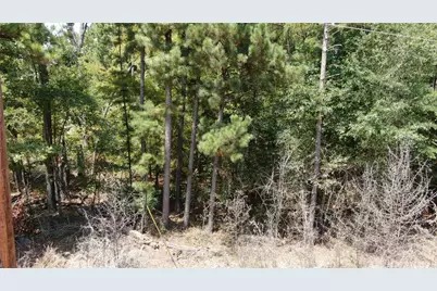 00 Big Eddy Road, Chandler, TX 75758 - Photo 14