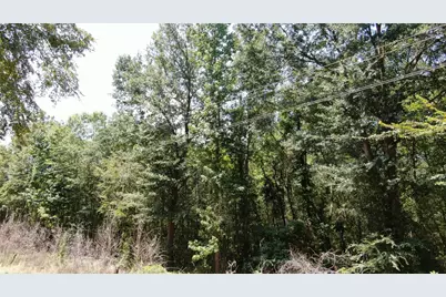 00 Big Eddy Road, Chandler, TX 75758 - Photo 16